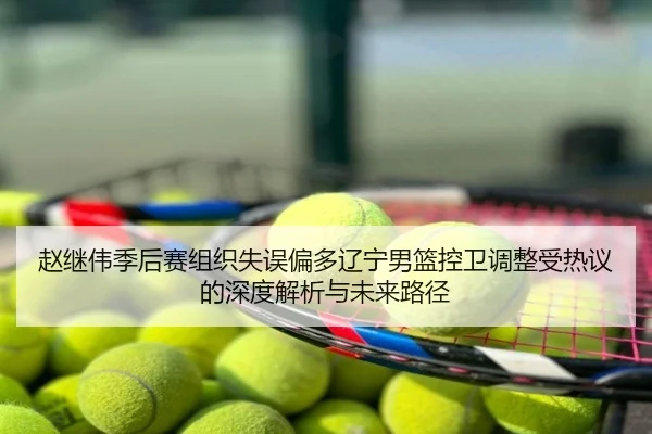 赵继伟季后赛组织失误偏多辽宁男篮控卫调整受热议的深度解析与未来路径