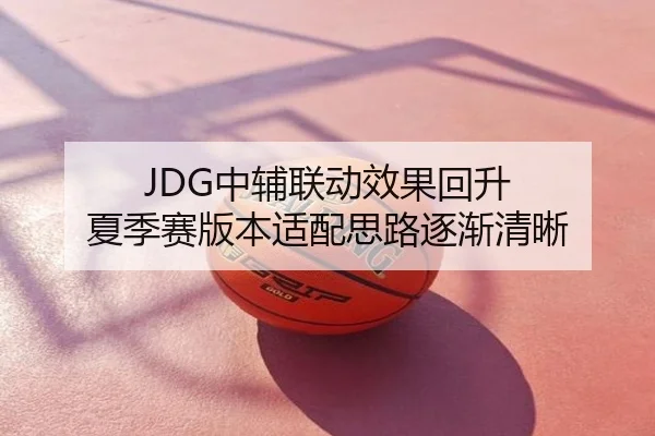 JDG中辅联动效果回升 夏季赛版本适配思路逐渐清晰