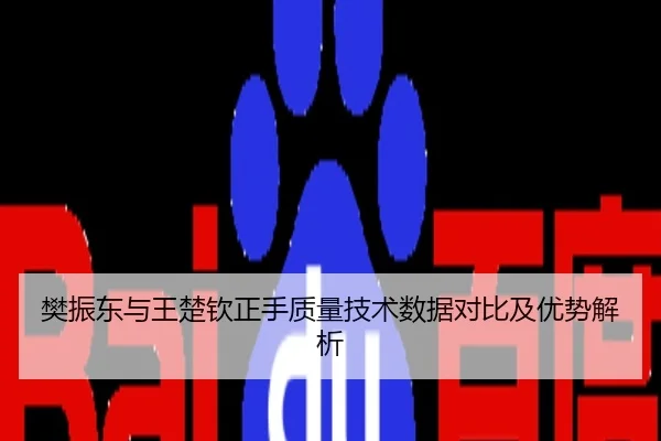 樊振东与王楚钦正手质量技术数据对比及优势解析
